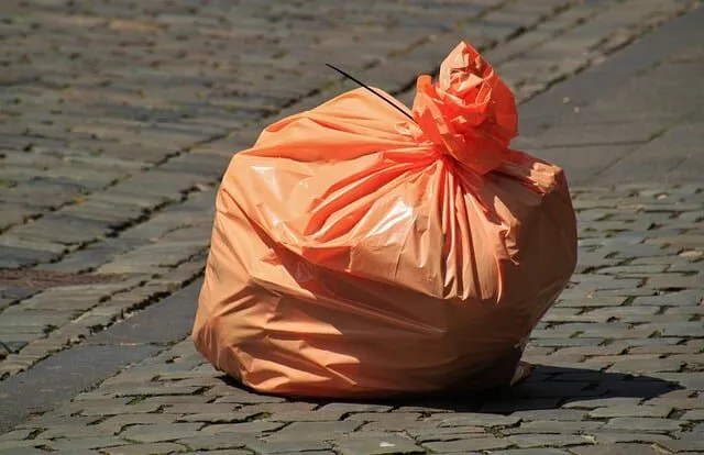 Scopri di più sull'articolo Come smaltire i rifiuti in quarantena